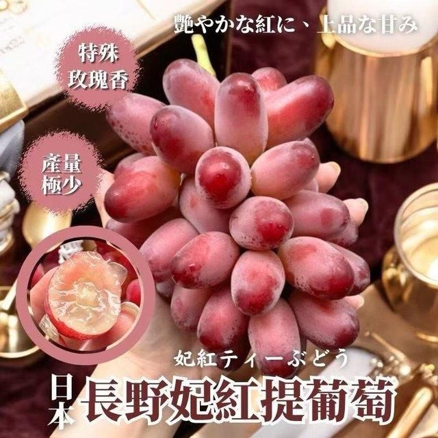 美品‼️ T.sucrei 選抜 銀葉種 赤花 美品‼️ T.sucrei 選抜 銀葉種 赤花 MapleLane GroupBuy added a new