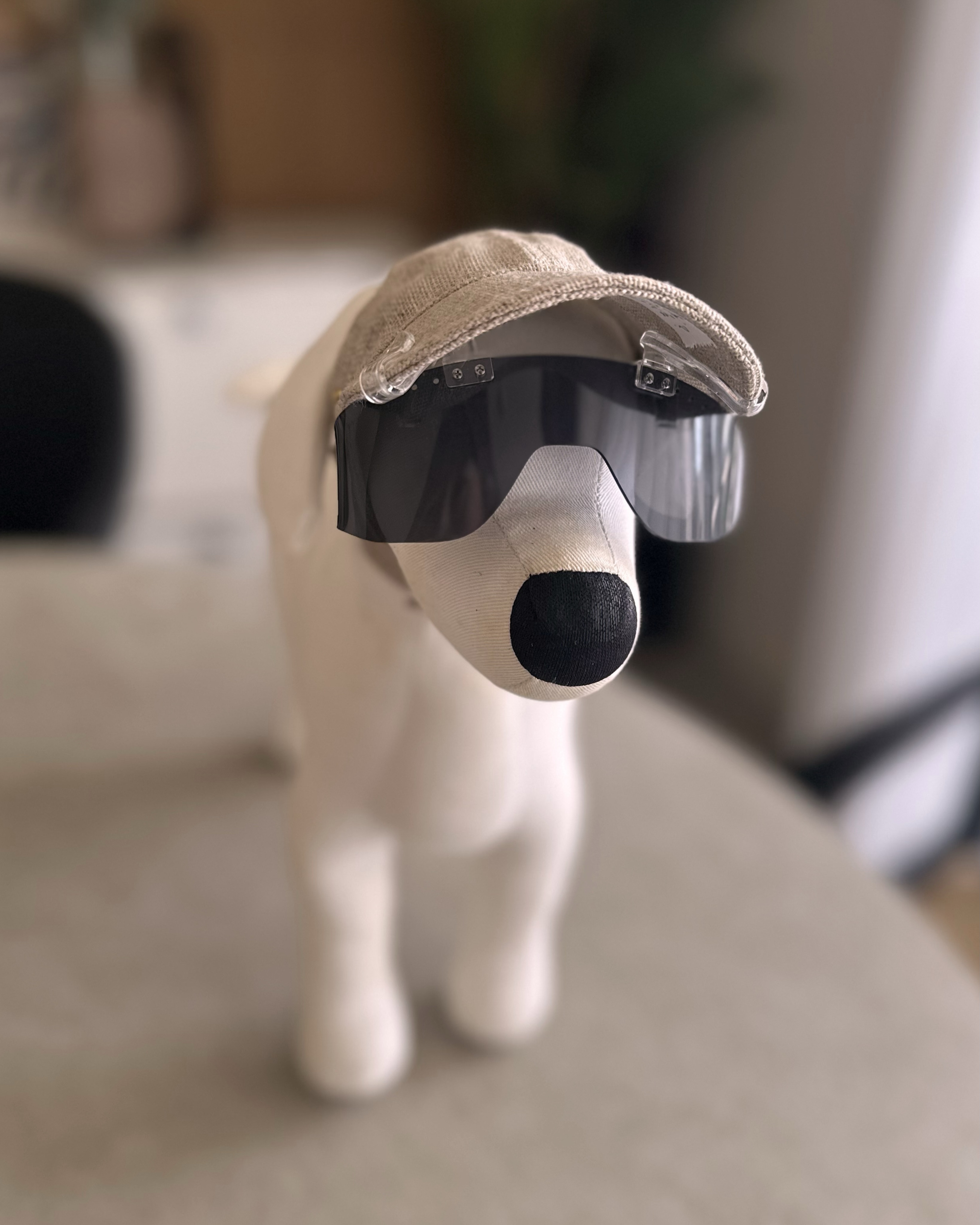 犬の帽子のお店 I.M.GALLERY | Tachikawa Tokyo