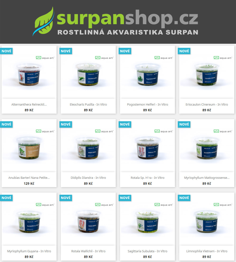 Akvarijnirostlinky - SURPANshop.cz - Slibované rostliny InVitro nyní na ...