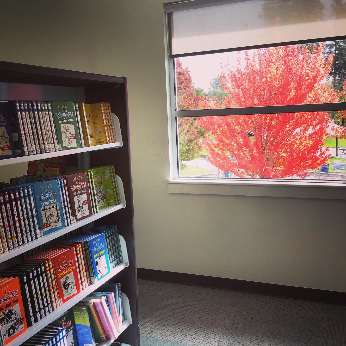 Look at those leaves! And how about... - Happy Valley Library | Facebook