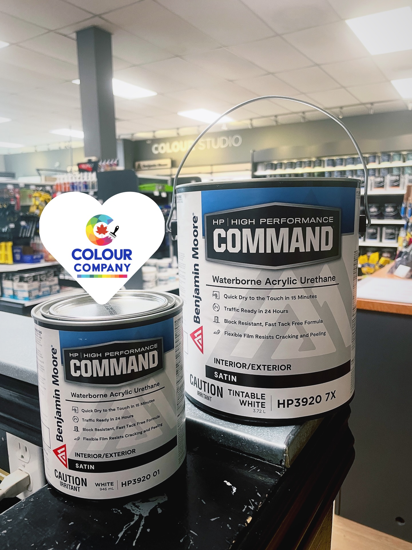 Color - BENJAMIN MOORE COMMAND — NOW AVAILABLE IN QUARTS! The same high ...