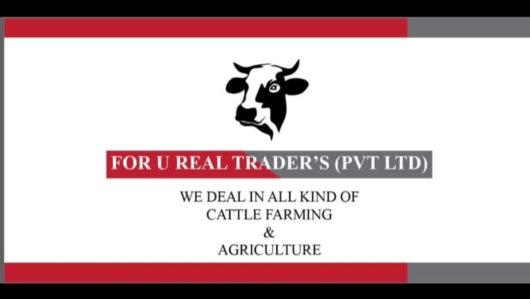 For U REAL Traders PVT.ltd | Karachi