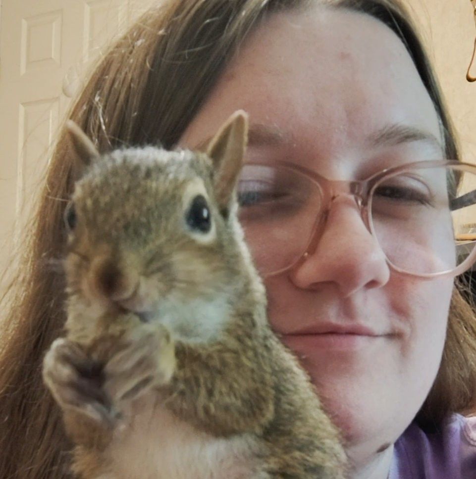 Say hello to this adorable little chipmunk, Chip~ Wildlife Rehab ...