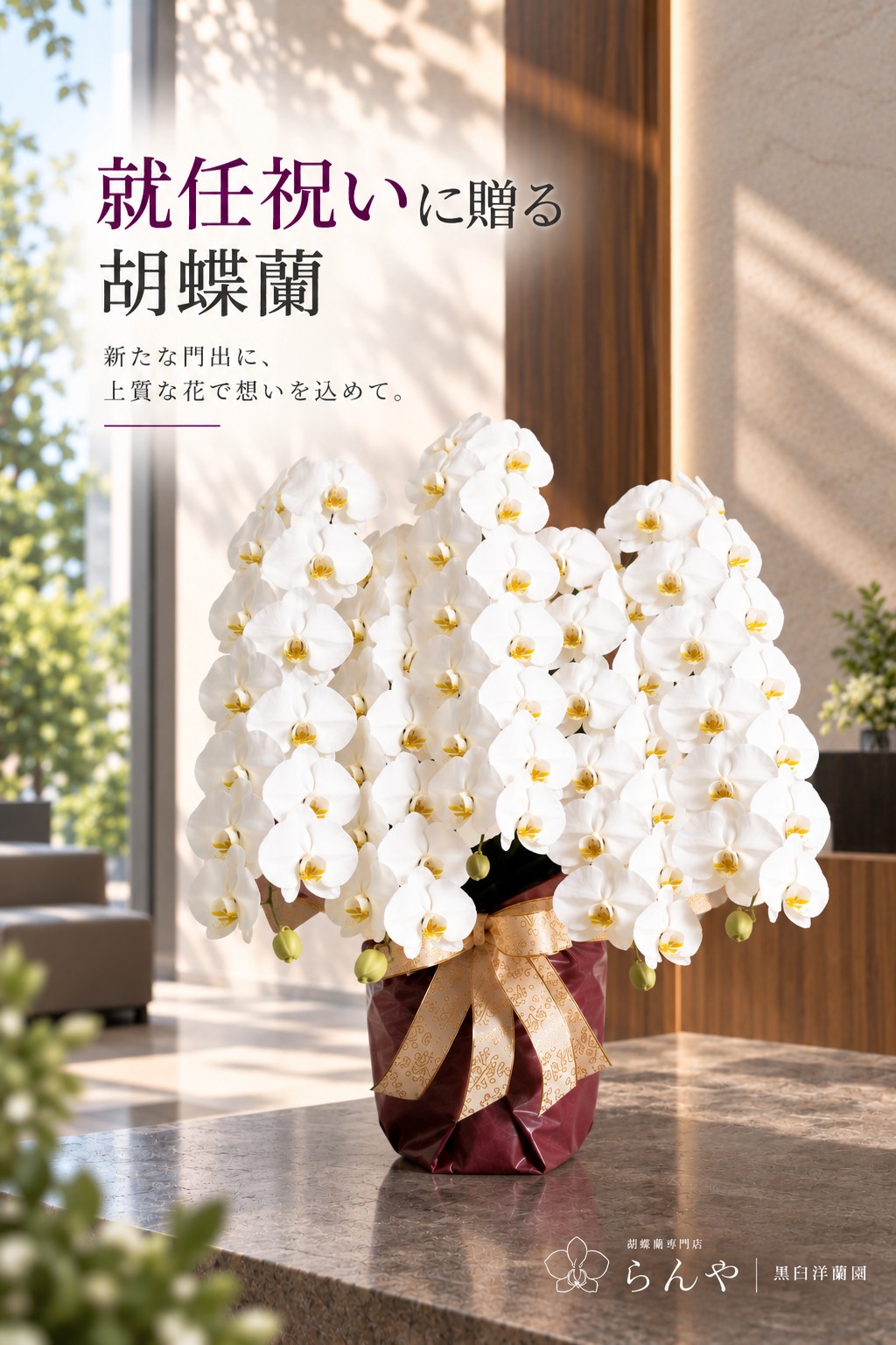 水不足で葉っぱの水分までも吸い切っている胡蝶蘭の株です。季節