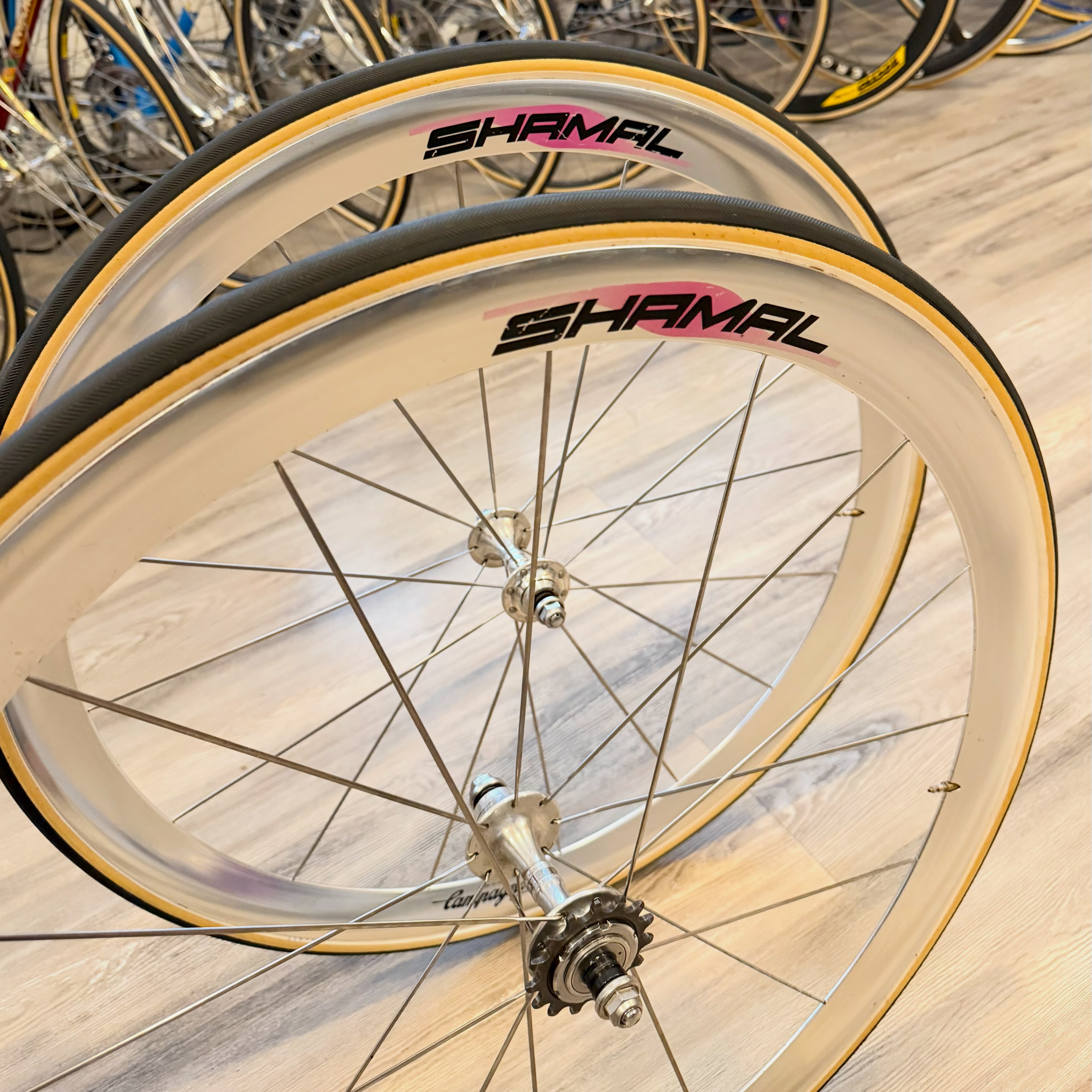 Campagnolo Shamal 16 track wheels with Vittoria Pista Evo CS tyres