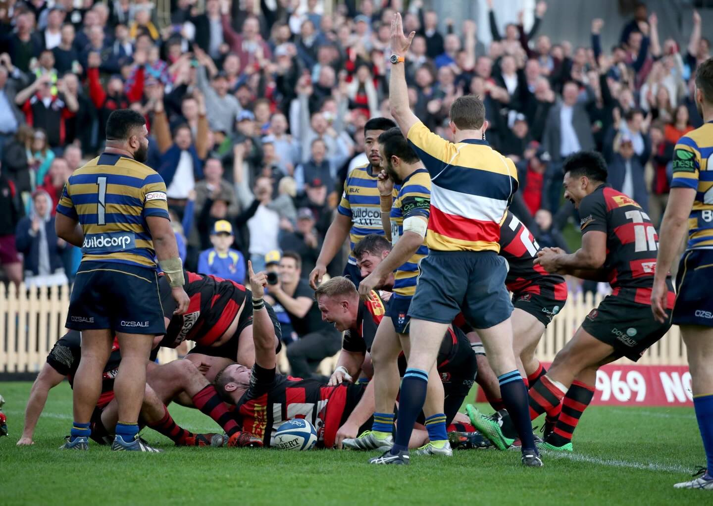 Northern Suburbs... - Northern Suburbs Rugby Football Club
