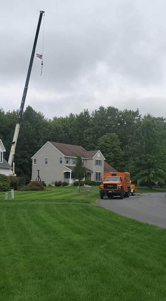 Tree Top Techs, LLC | Ballston Spa NY