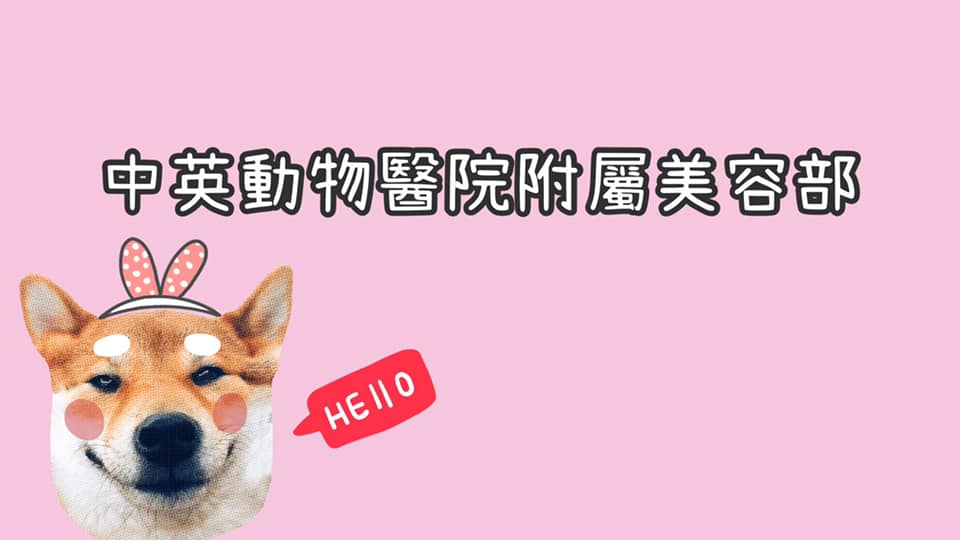 中英動物醫院附屬美容部 ホーム Facebook