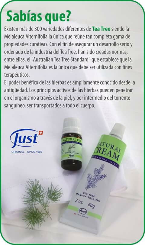 Sabías que el tea tree, tiene... - Just Aromaterapia y Salud