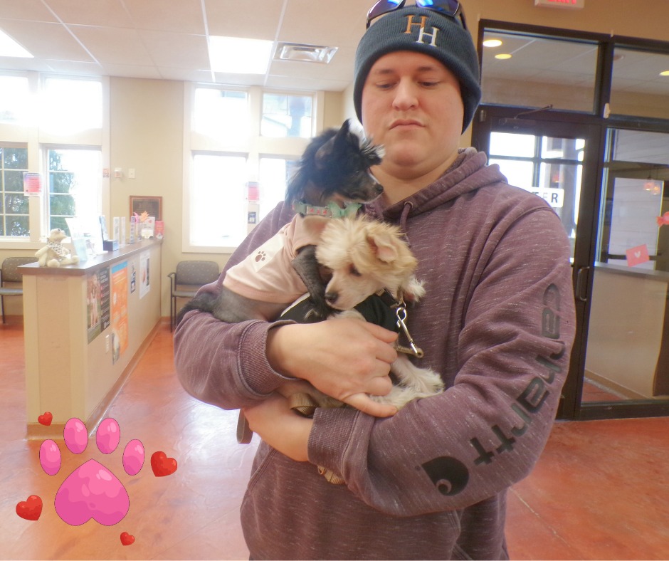 🐾🤗Today, the adorable duo,... - River Ridge Animal Hospital | Facebook