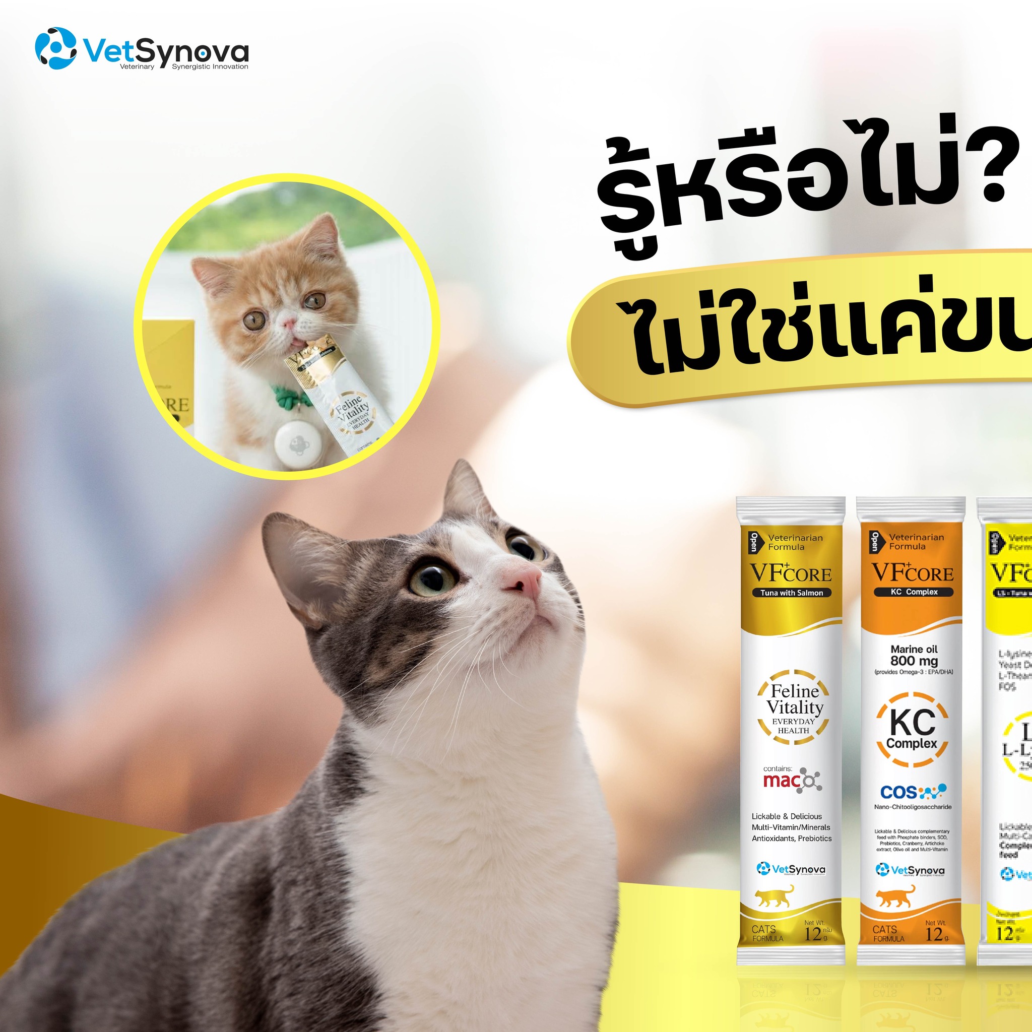 PET Rx - ยาและอาหารสัตว์ | Bangkok