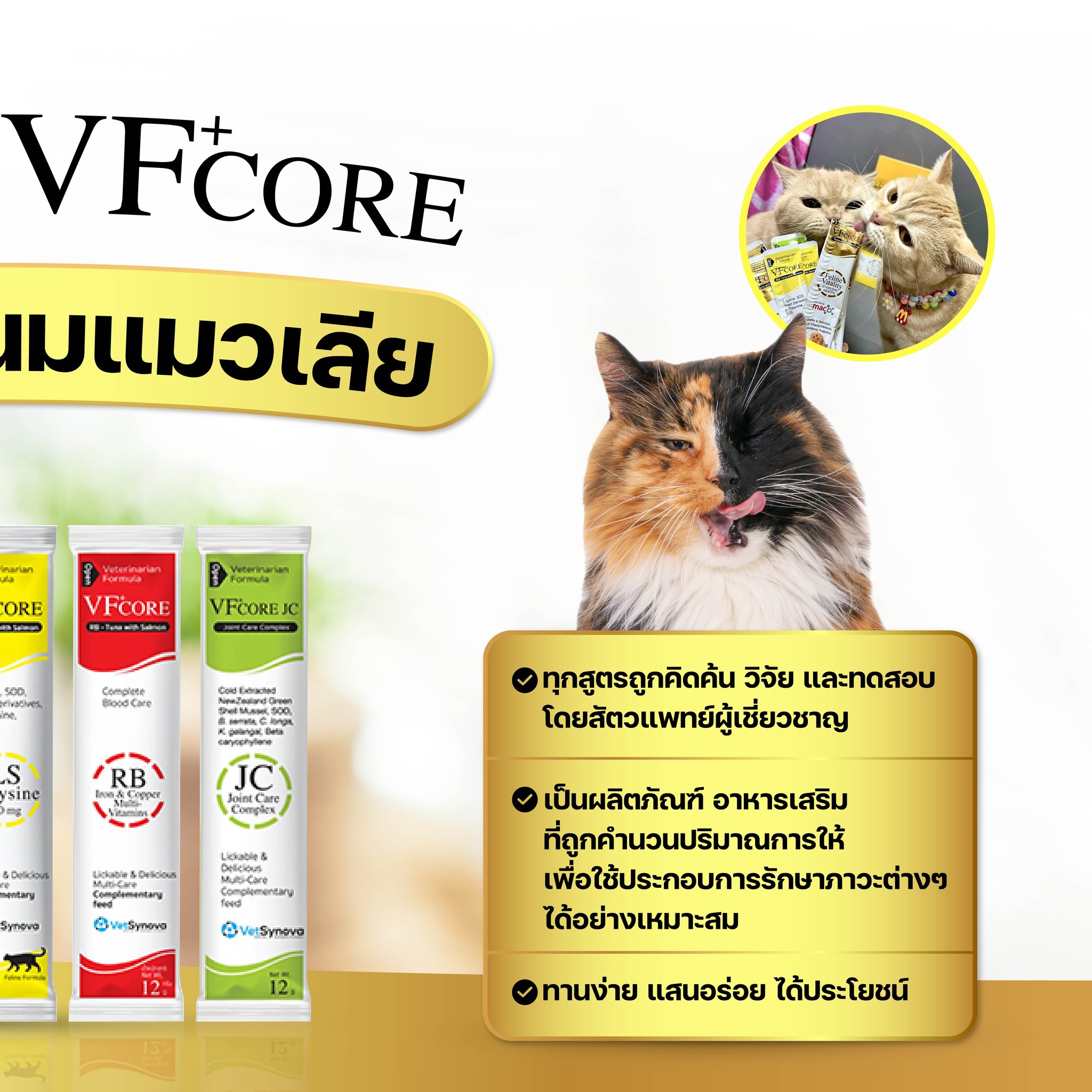 PET Rx - ยาและอาหารสัตว์ | Bangkok