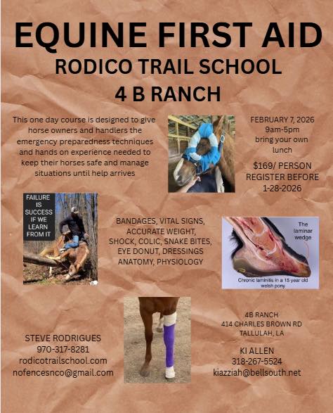 Ki - 🐴 Equine First Aid Course 🐴 Be prepared when it matters most. Join ...