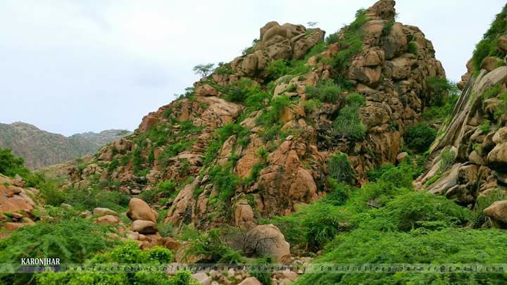 Dalpat Rai