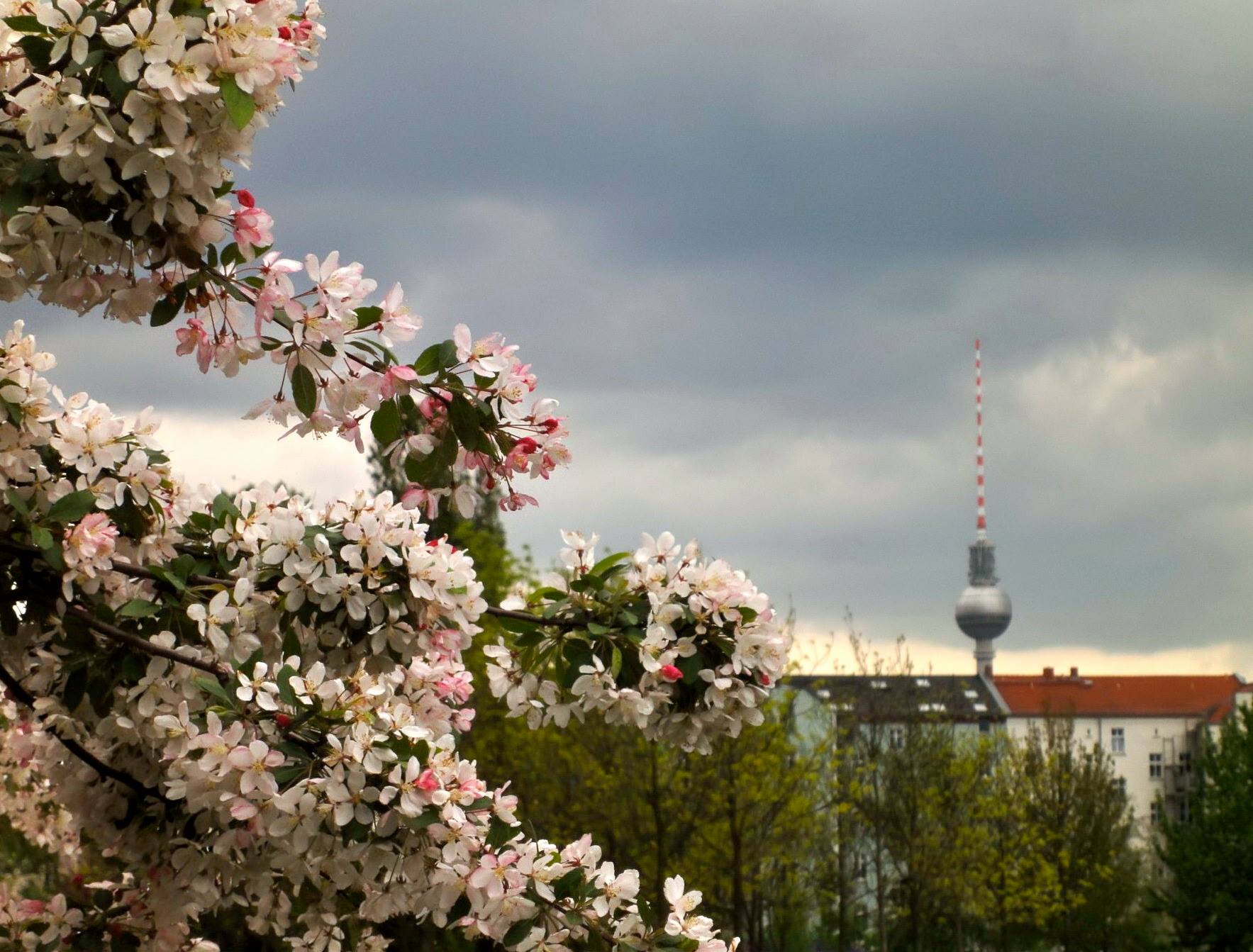 Mauerpark Institut E V Posts Facebook