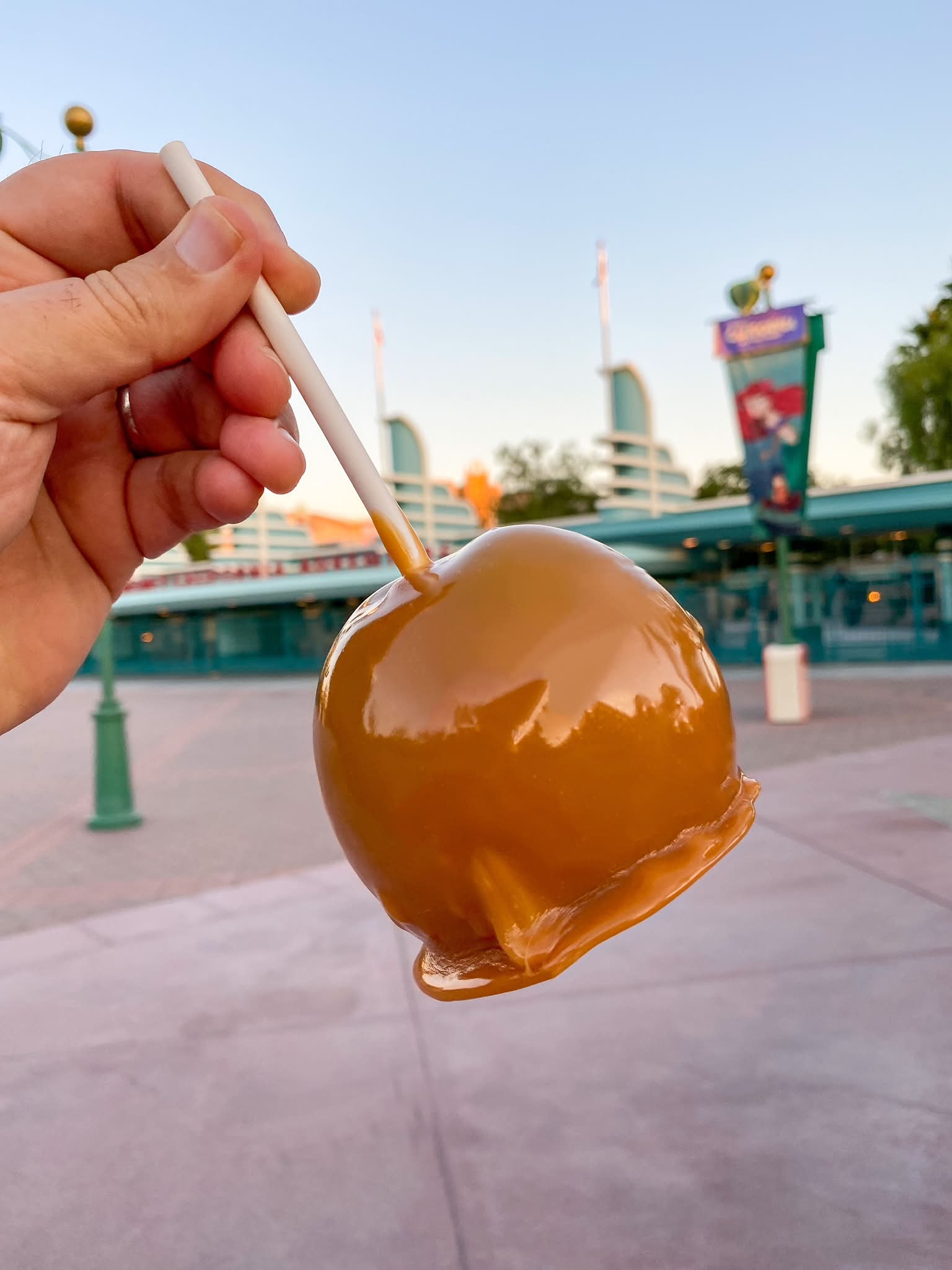 Caramel Apples from Disneyland 🍎🍏