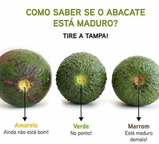 Escola - Como saber se o abacate (avocado) está maduro ou se está verde ...