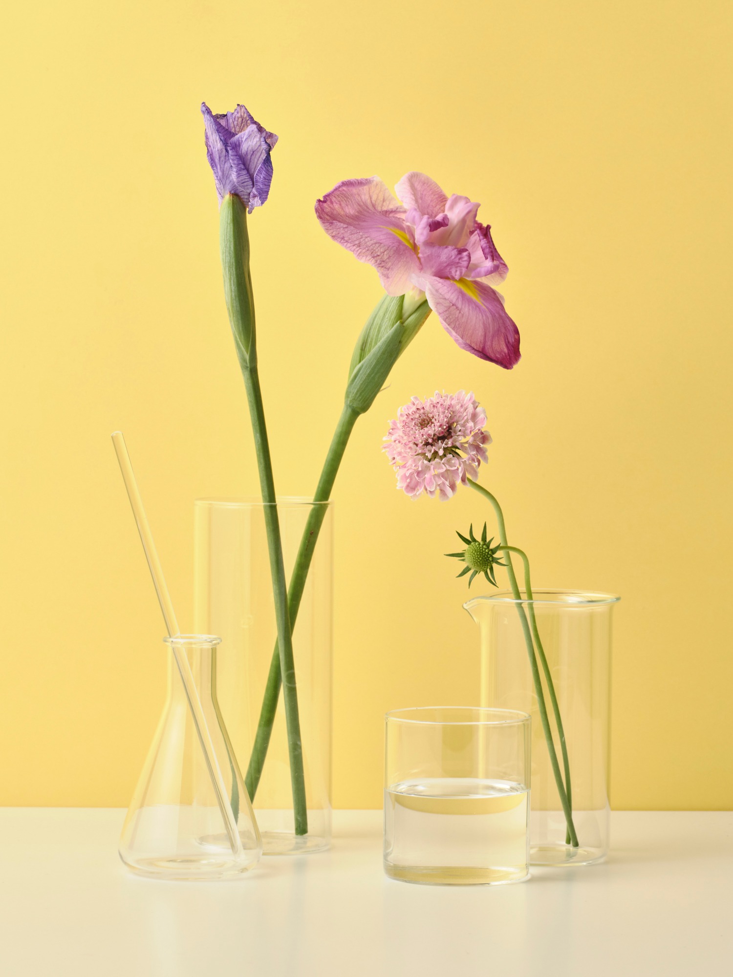 The Perfume Oil Factory | Chuo-ku Tokyo
