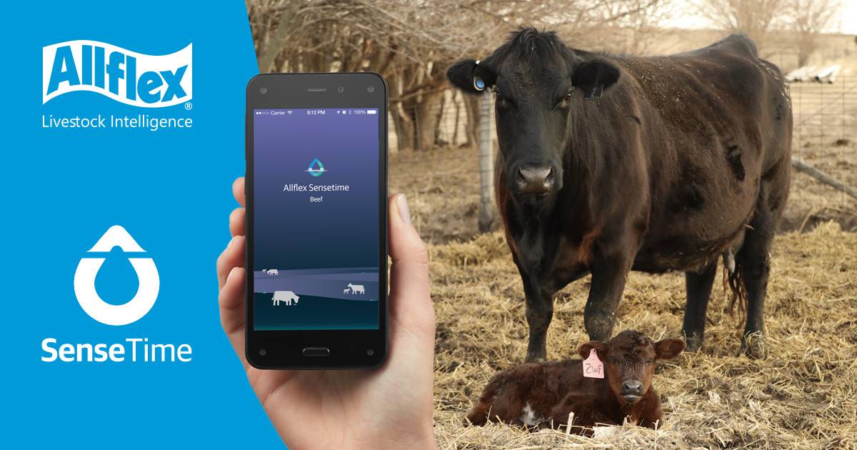 The first-ever monitoring solution for... - MSD Ruminants GB