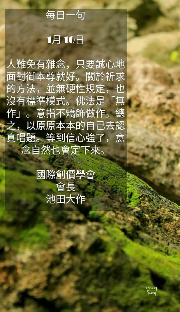 火锅鱼丸种类新款 火锅鱼丸种类2021年新款 京东