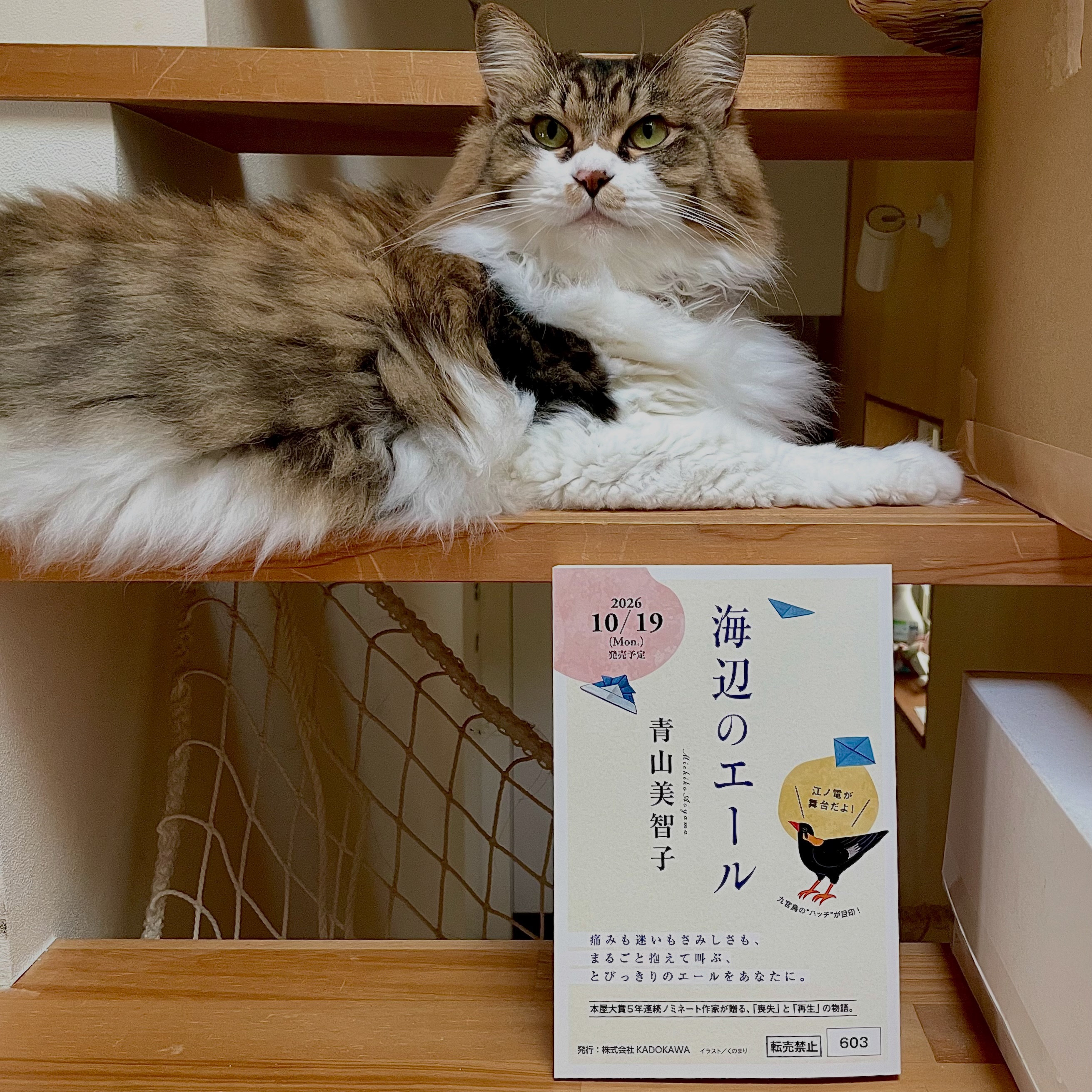 Twitterでしか告知と募集をしなかったのですが、イラストレーターの