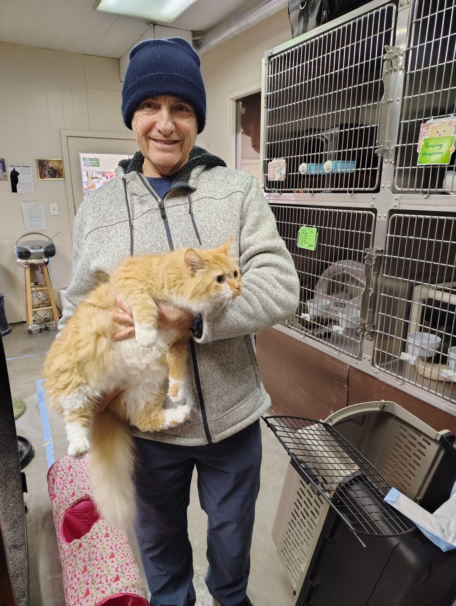 Hope - This big handsome boy found his purrfect home today! We will ...