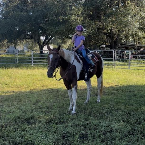 Thank you Jason Aycox of Southern Ambitions Horsemanship, Sunni Bembry ...