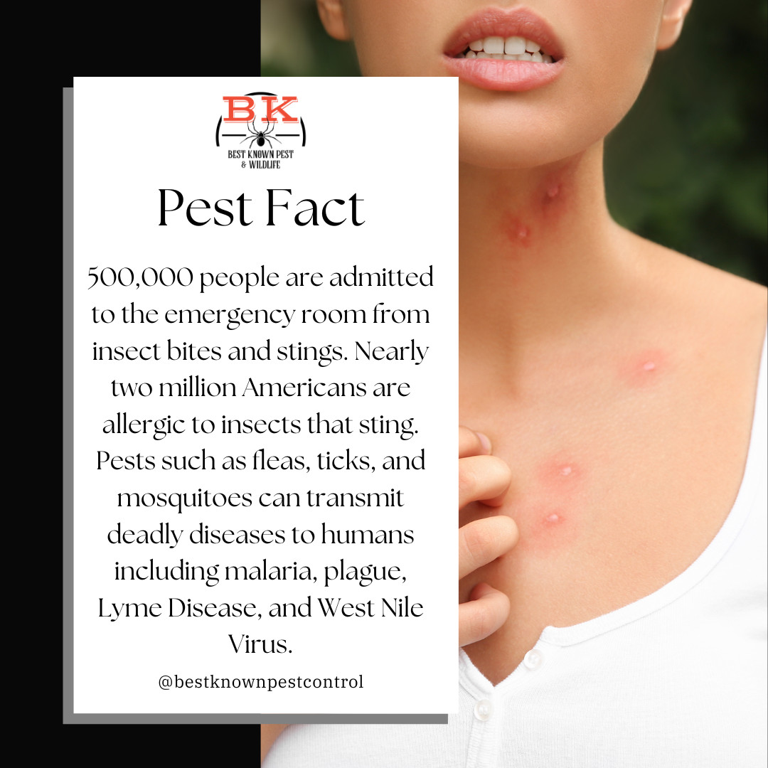 BK - Pests can be more than just a nuisance; they pose real health ...