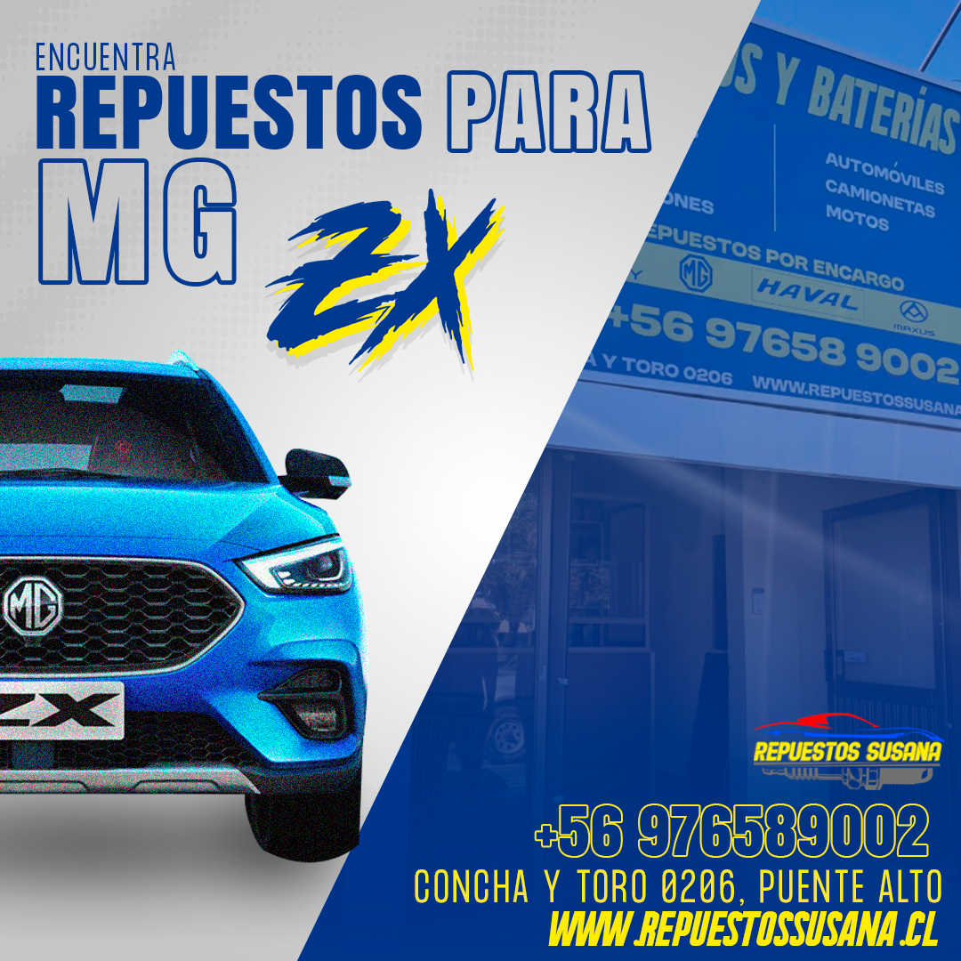 まとめ売り repuestos_susana | Santiago