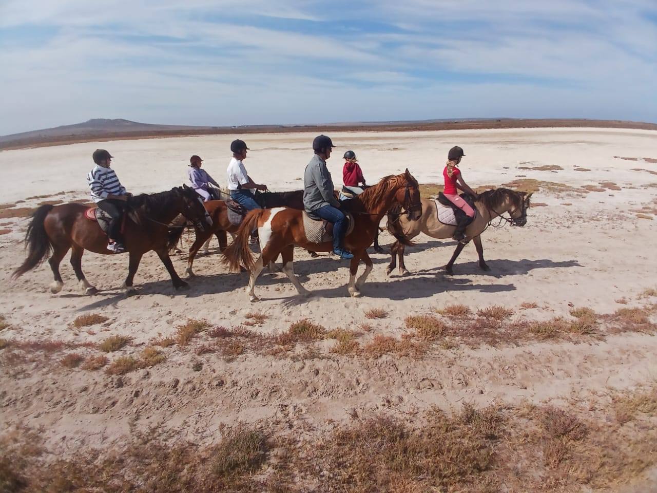 Drikus Horse Trails | Paternoster