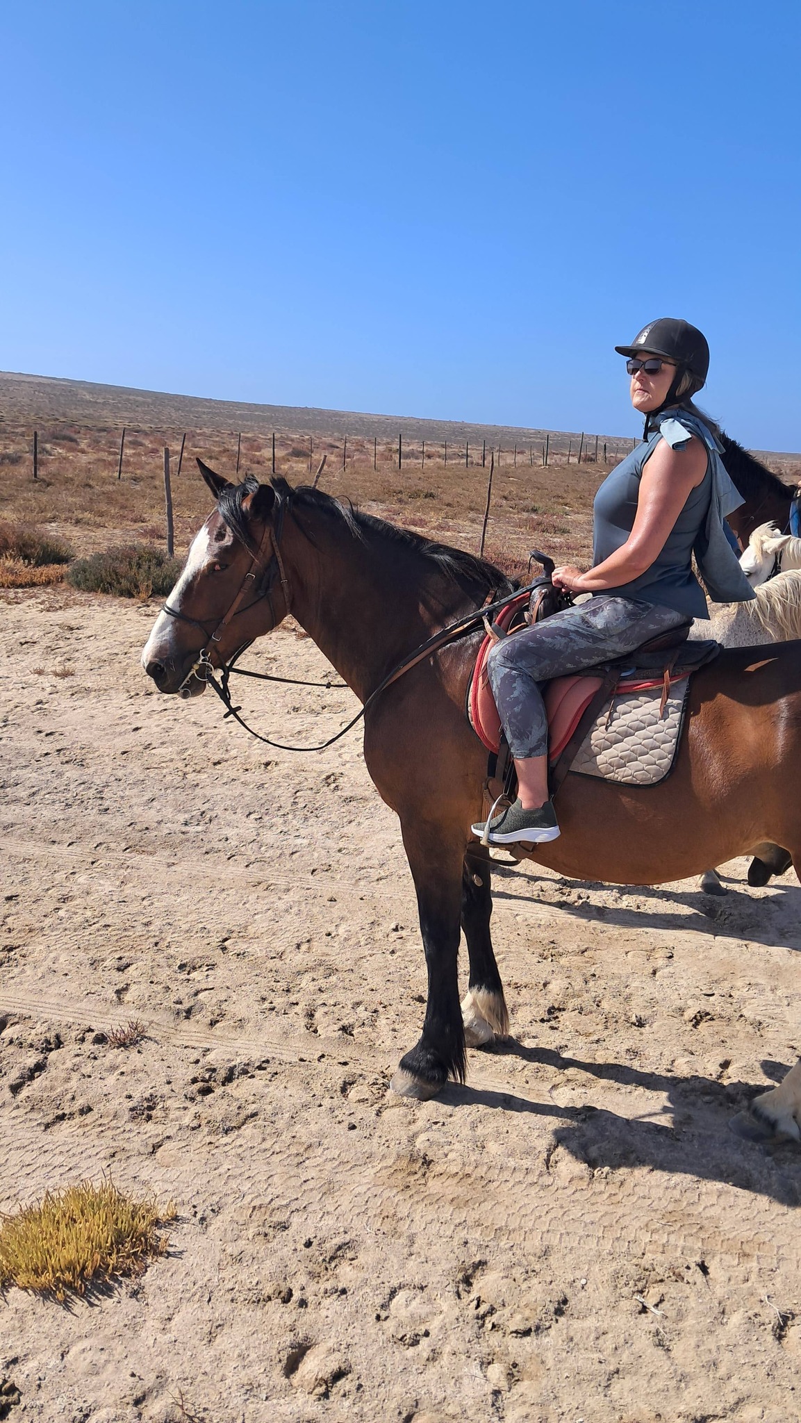 Drikus Horse Trails | Paternoster