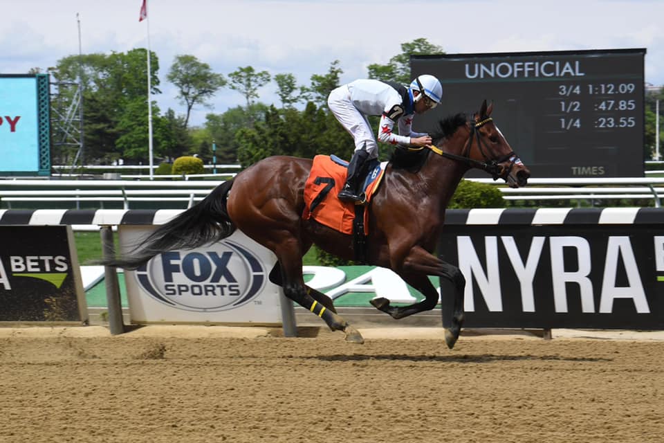 Wayne A. Potts Racing Stable | Elmont NY