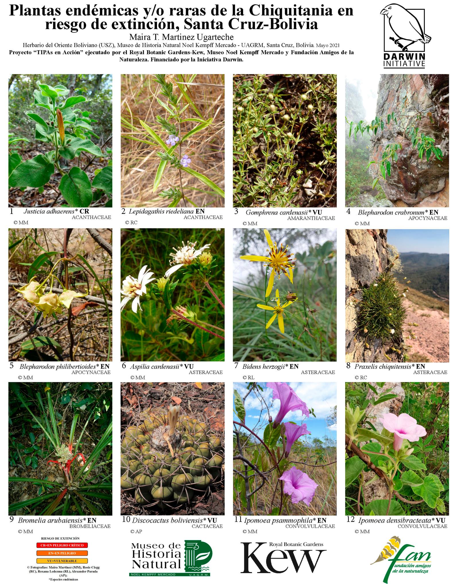 Especies Endemicas De Plantas La Construcción De La Lista Roja De