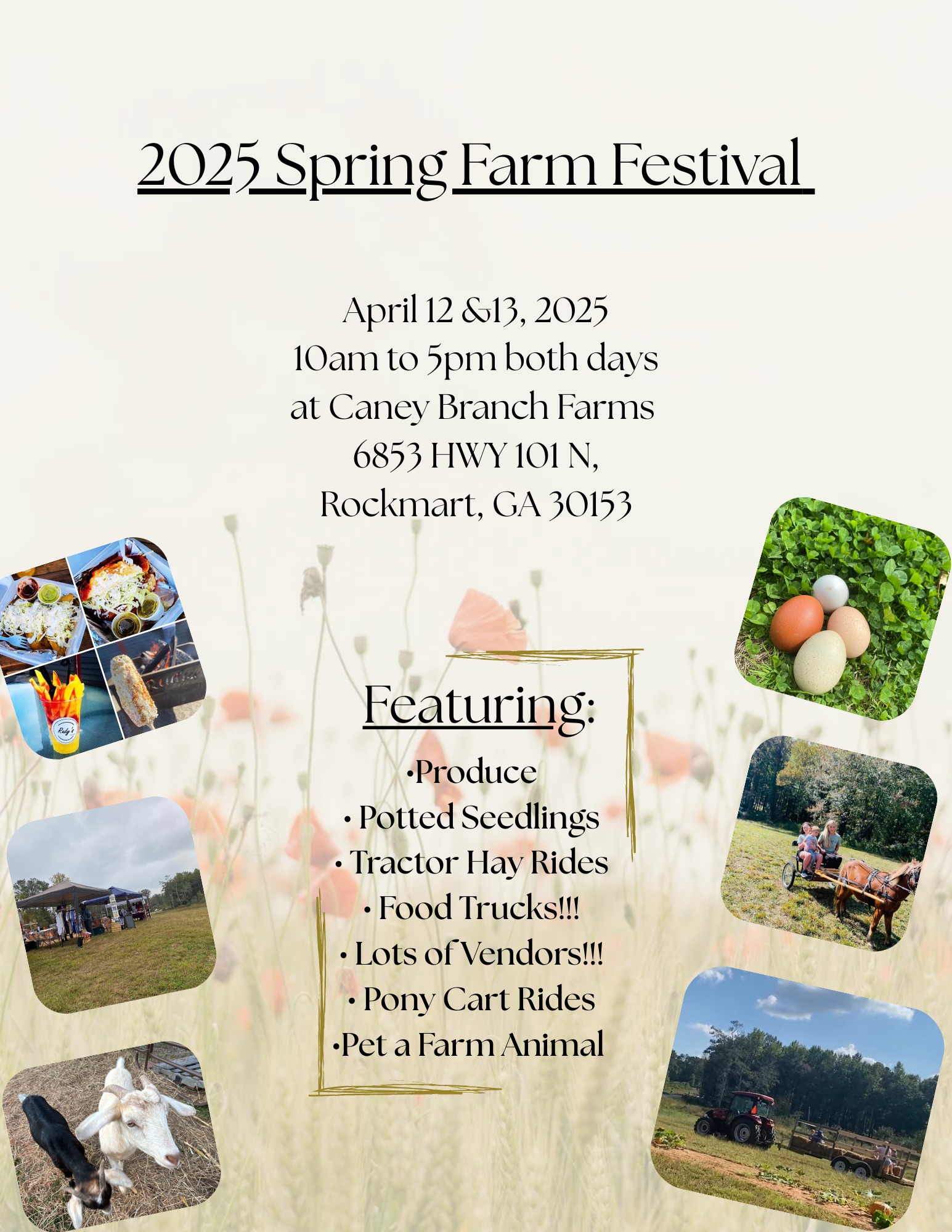 Spring Farm Festival