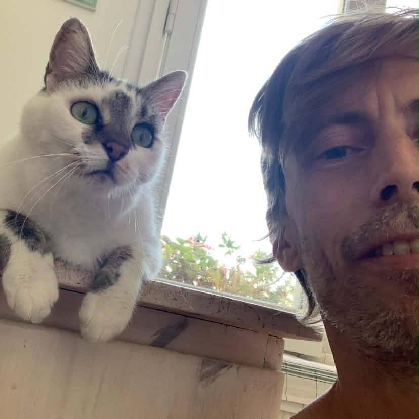 Le roux et blanc du centre ville 😺🧡🐾#cat #cats #catlife #catlovers # ...