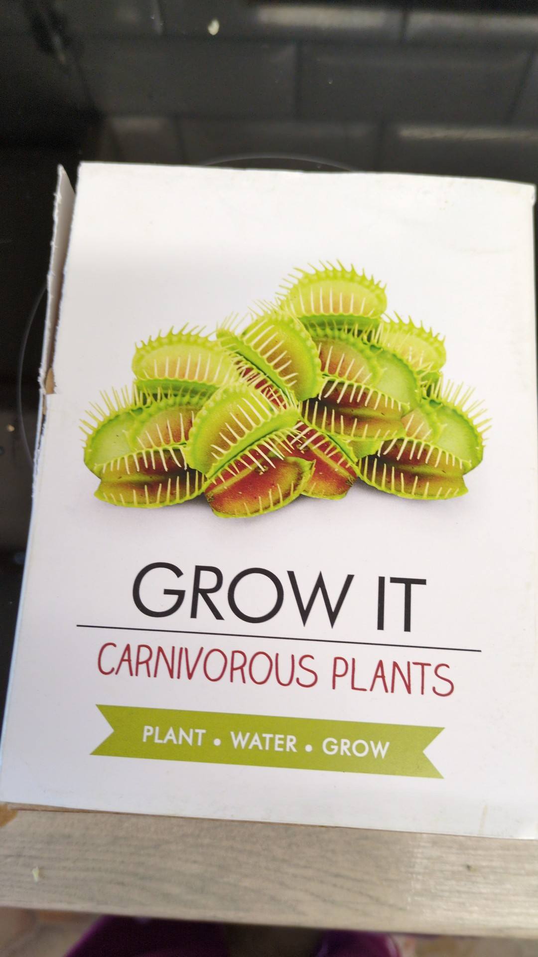 What's the best way to start a Venus flytrap from seeds?