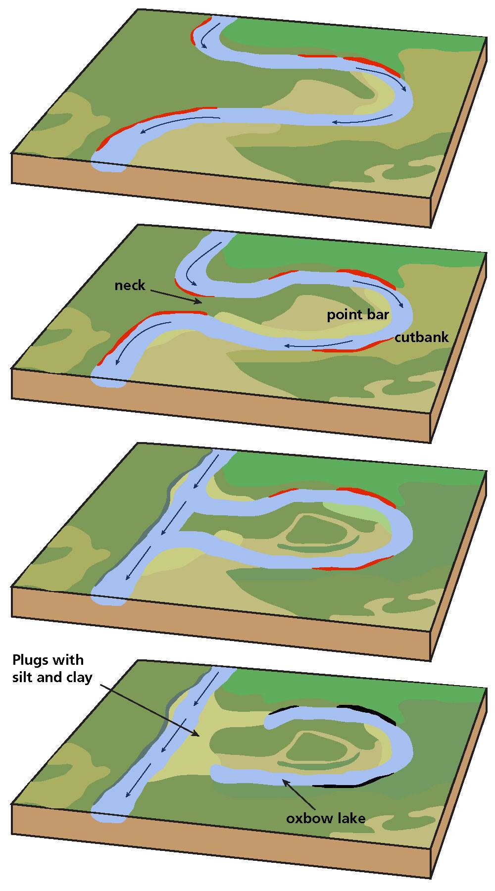 Geology - Meandering Stream Evolution Evolution of a meandering stream ...