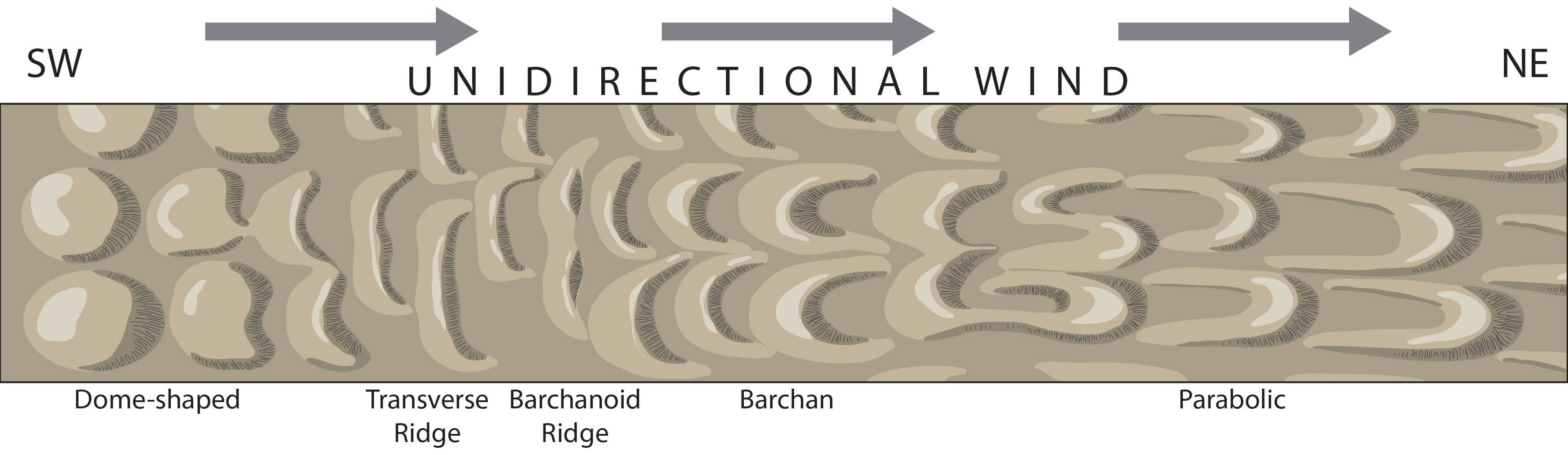 Geology - Barchanoid Dune Morphology Types of sand dunes. Sand supply ...