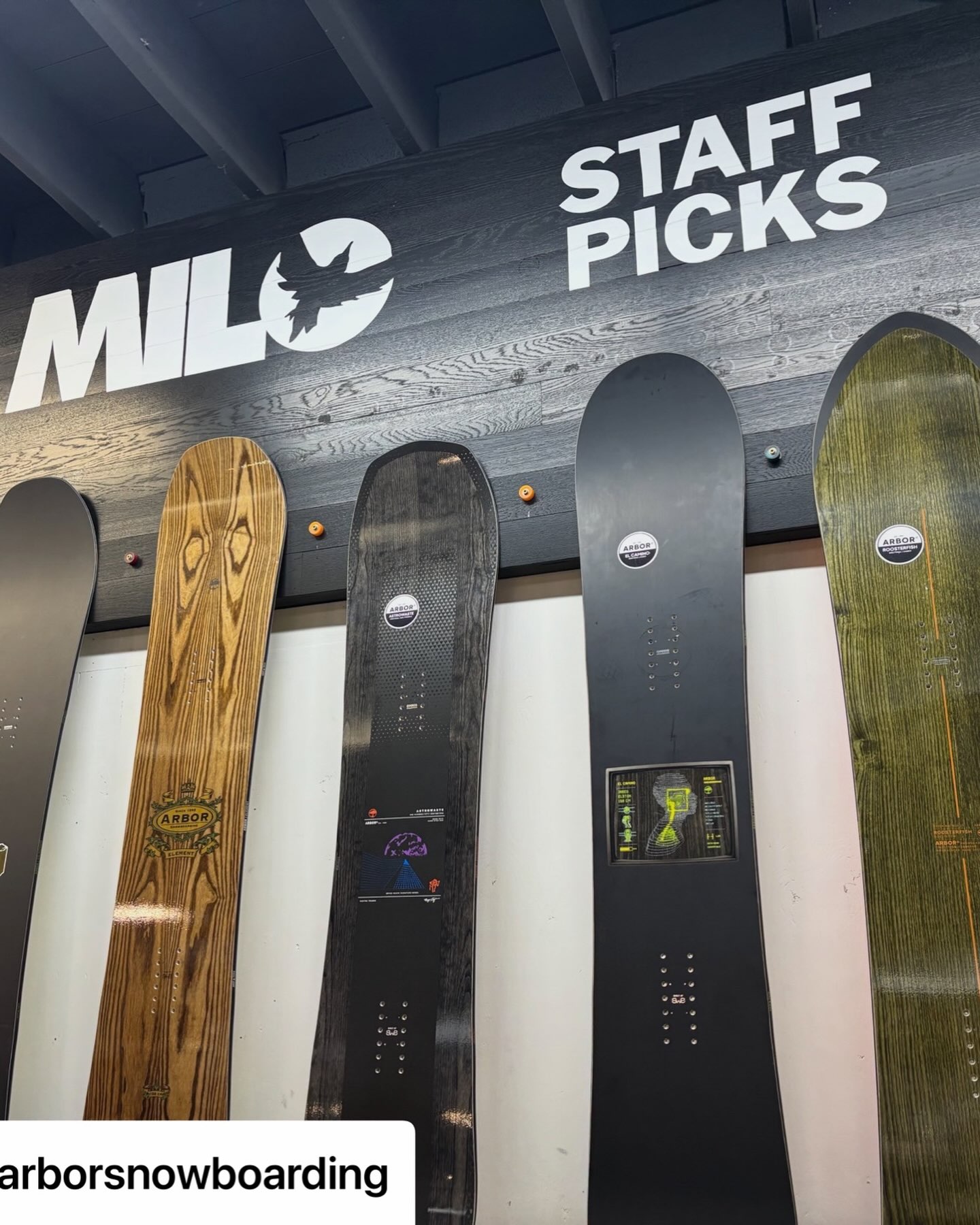 ARBOR Snowboards Japan | Suginami-ku Tokyo