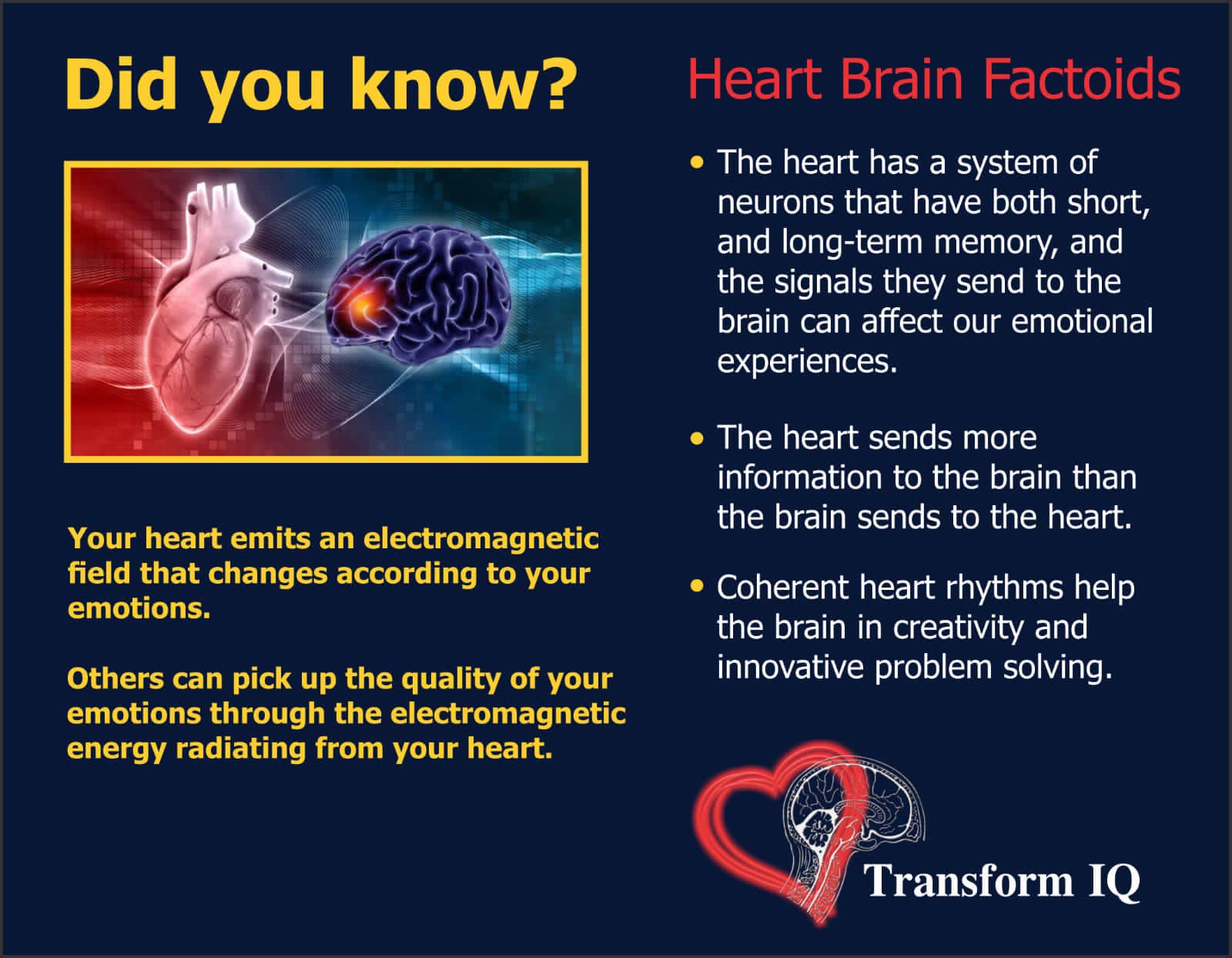Transform IQ | Pretoria