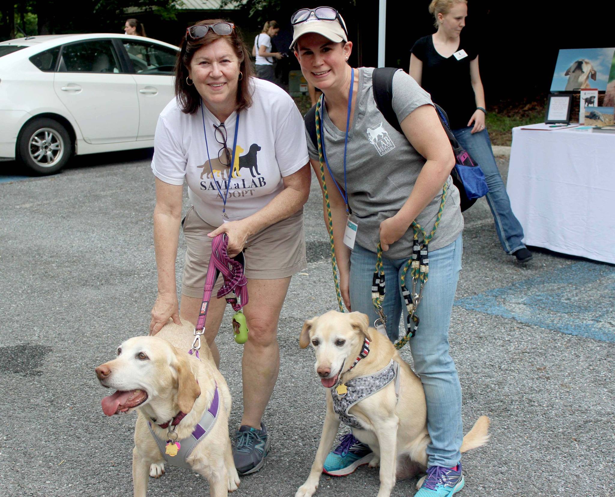 Lab Rescue LRCP | Annandale VA