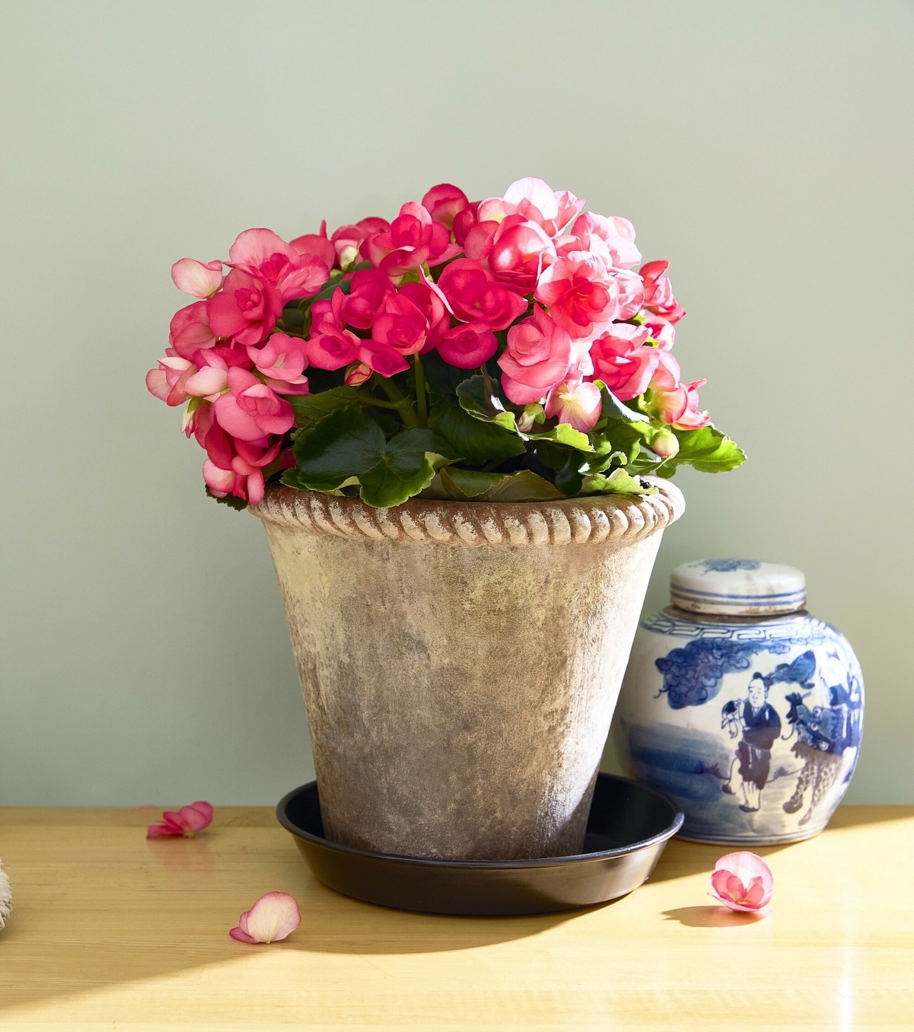Dewar - Pink & blue = a color story that never goes out of style. 💙 ...