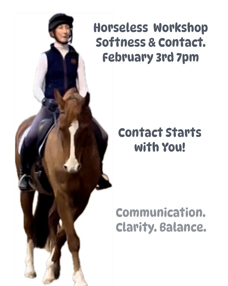 Coaching the rider to train the horse. Karen Whiston BHSI