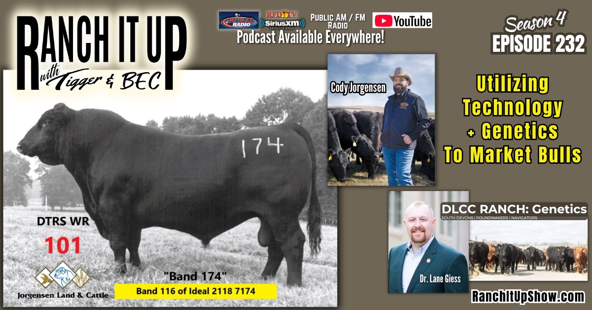 DLCC Ranch | Pierz MN