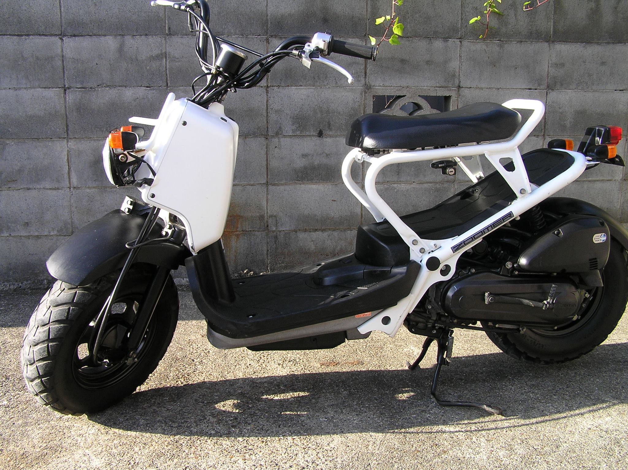 DND - ホンダ ズーマー 白 入荷しました。 | Facebook