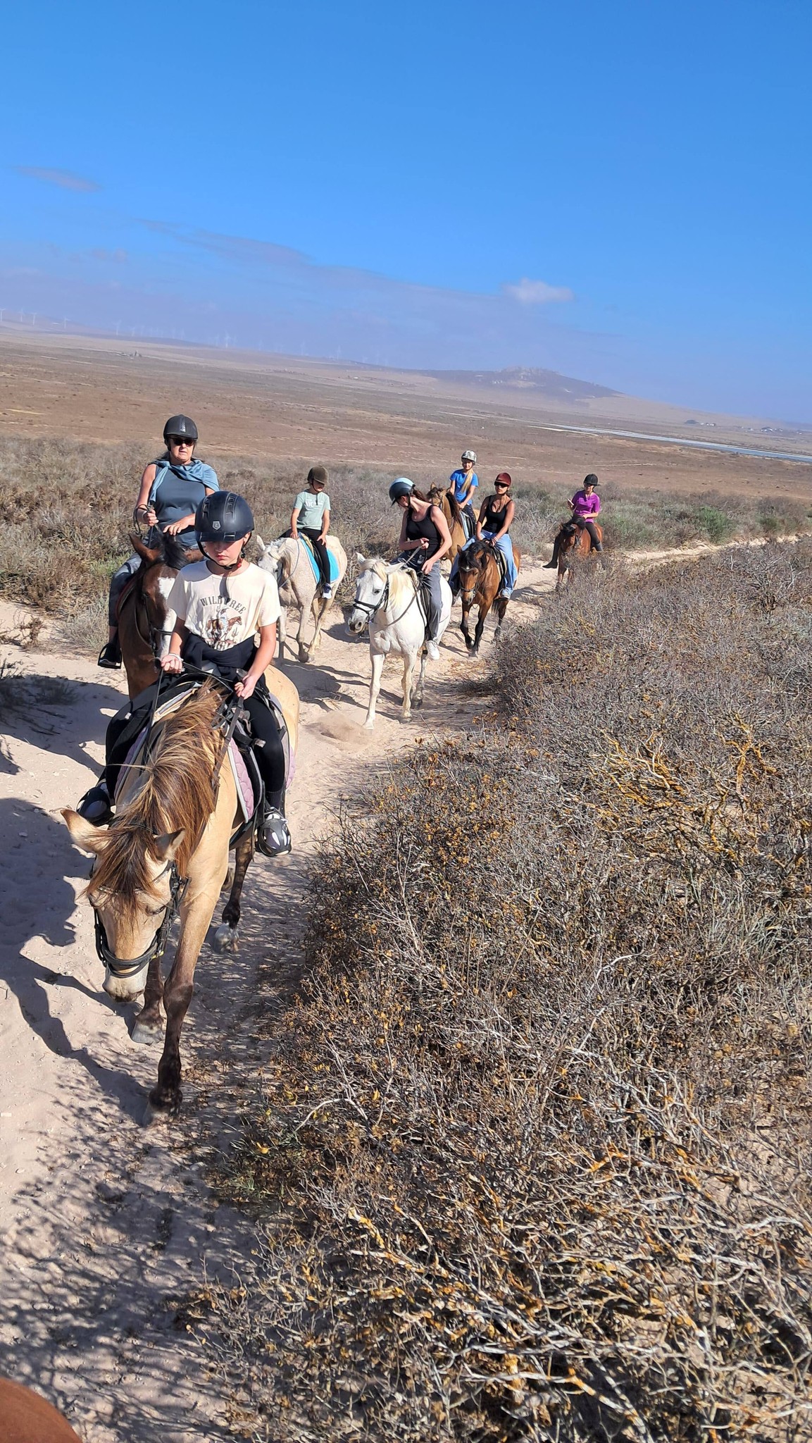 Drikus Horse Trails | Paternoster