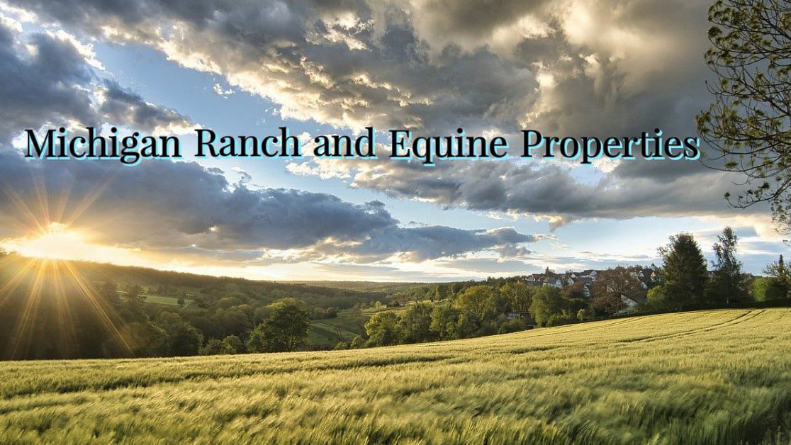 Michigan Ranch and Equine Properties