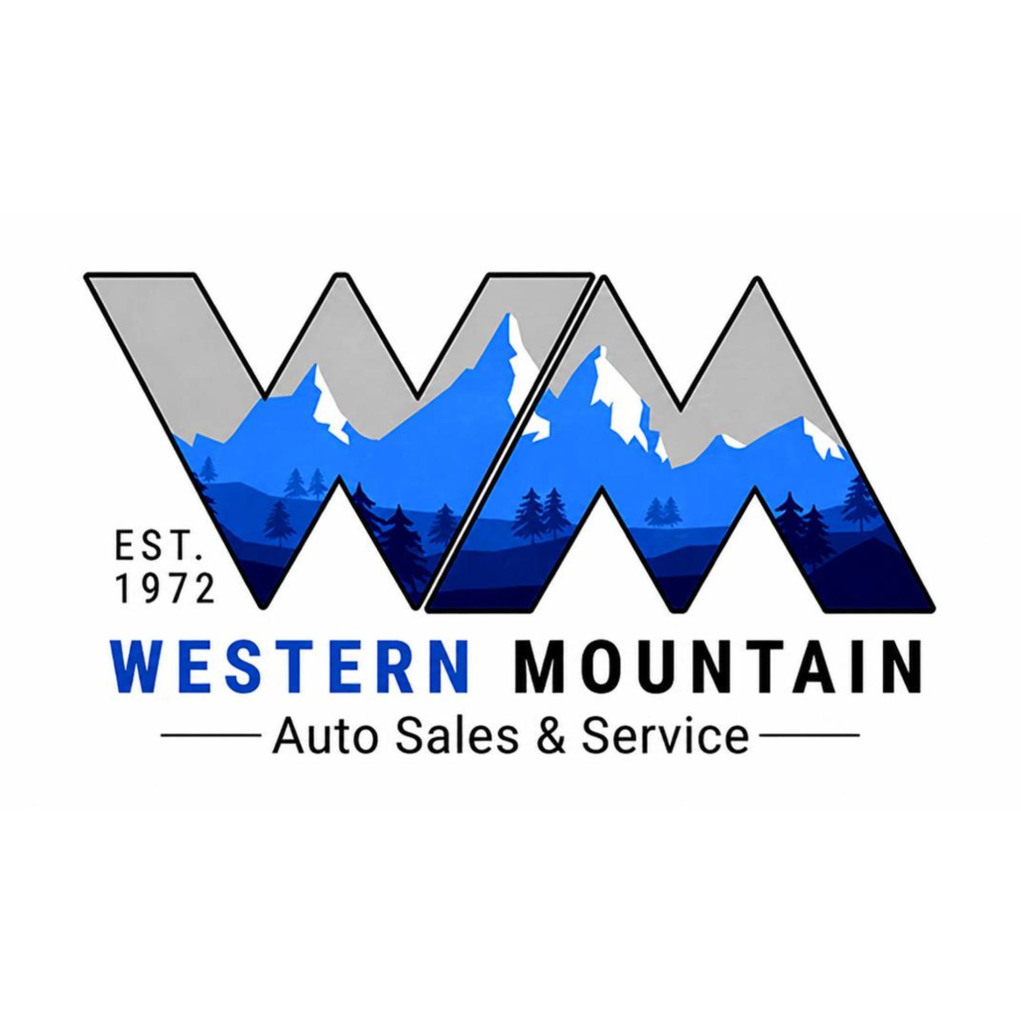 Ask a Mechanic: Steady vs. Flashing Check Engine Light | Western ...