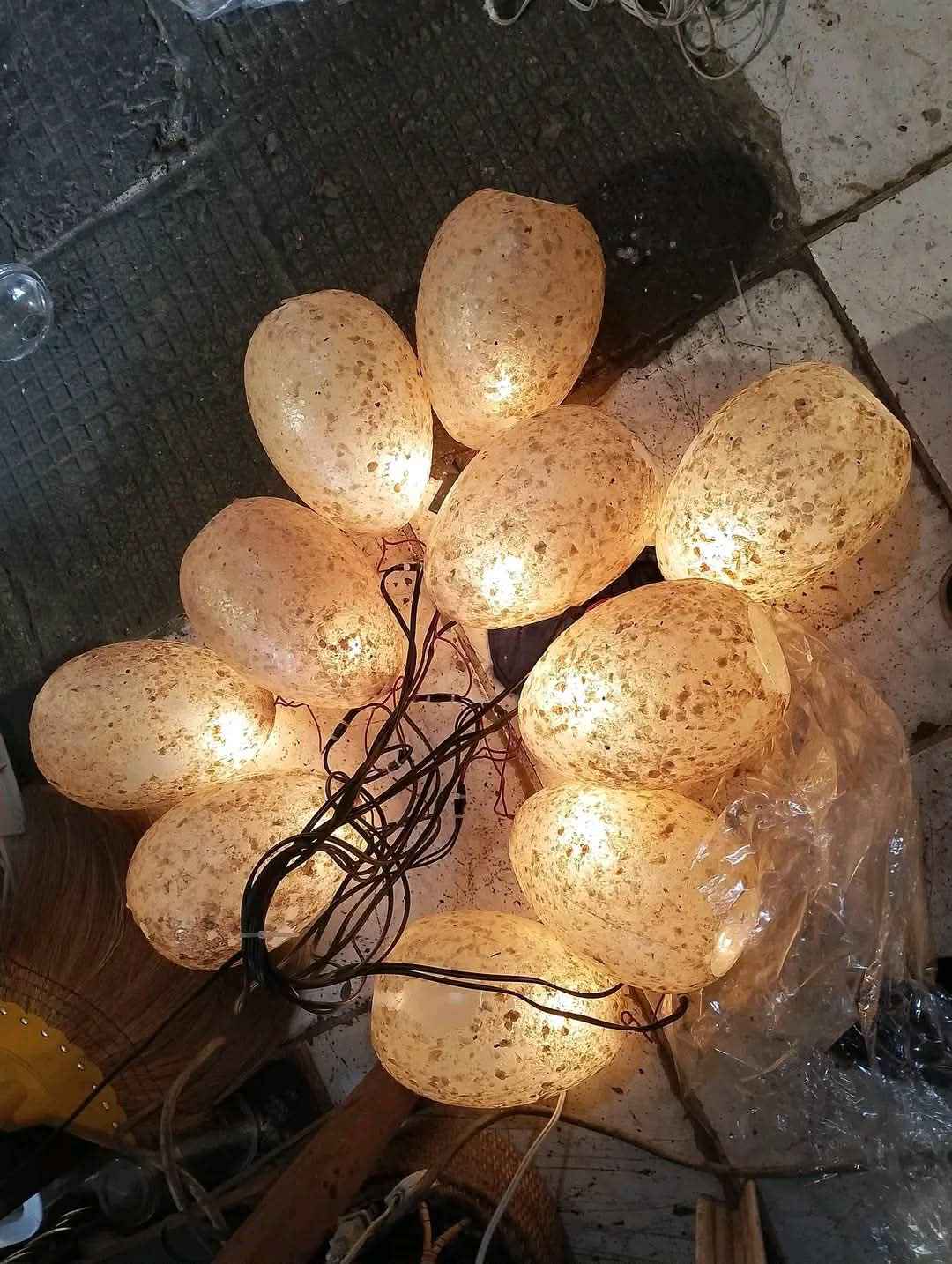 1doz/12pcs OWER XFLOWER FLOWER XFLOWER FLOWER FLOWER KIKFLOWER 日