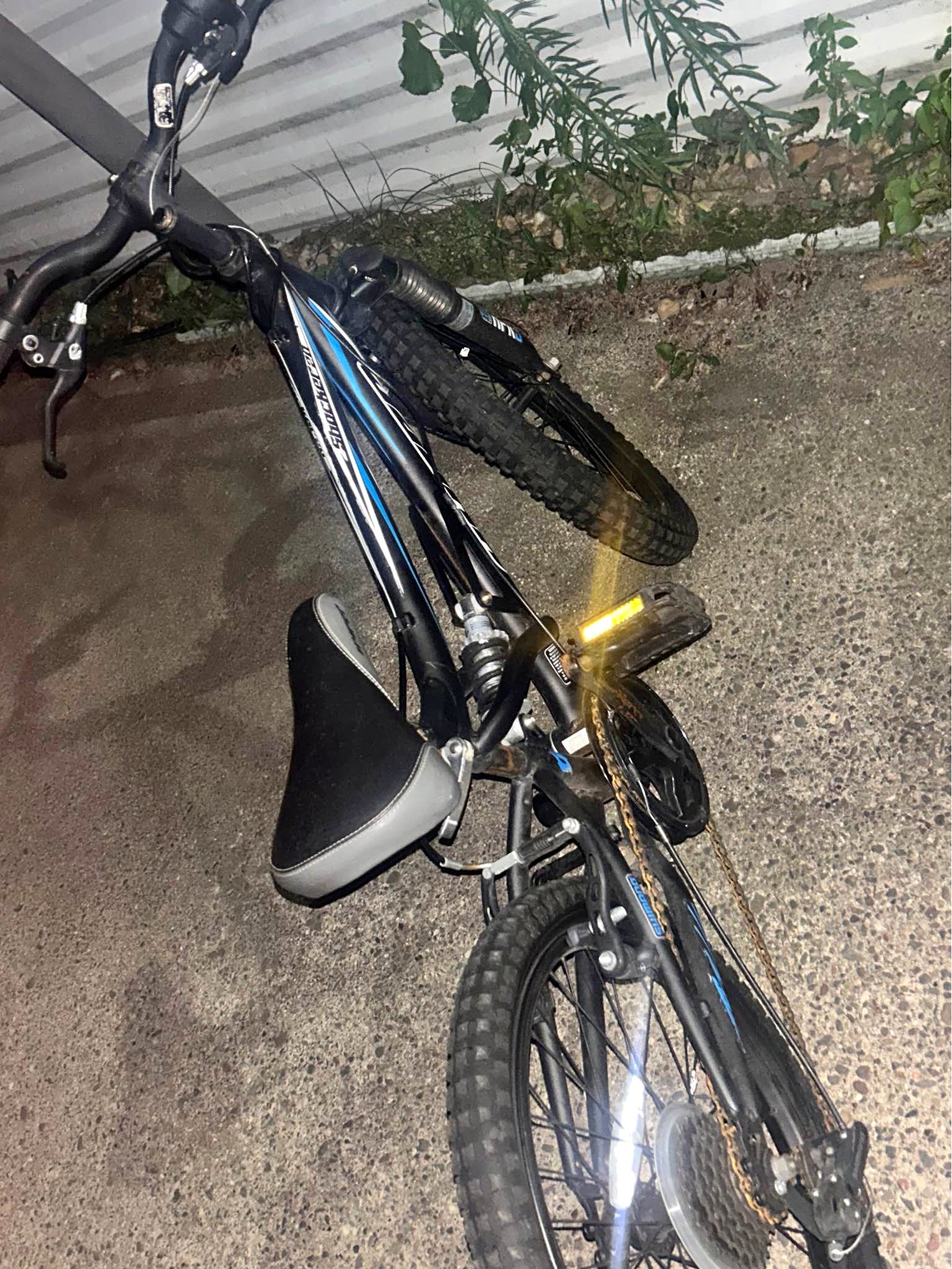 bianchi bicycle dealer minnesota Luna 2 Fitness Bike  Mordern Bike Maklin Bike Shop | Specialty